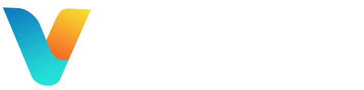 Virtual BDC LLC